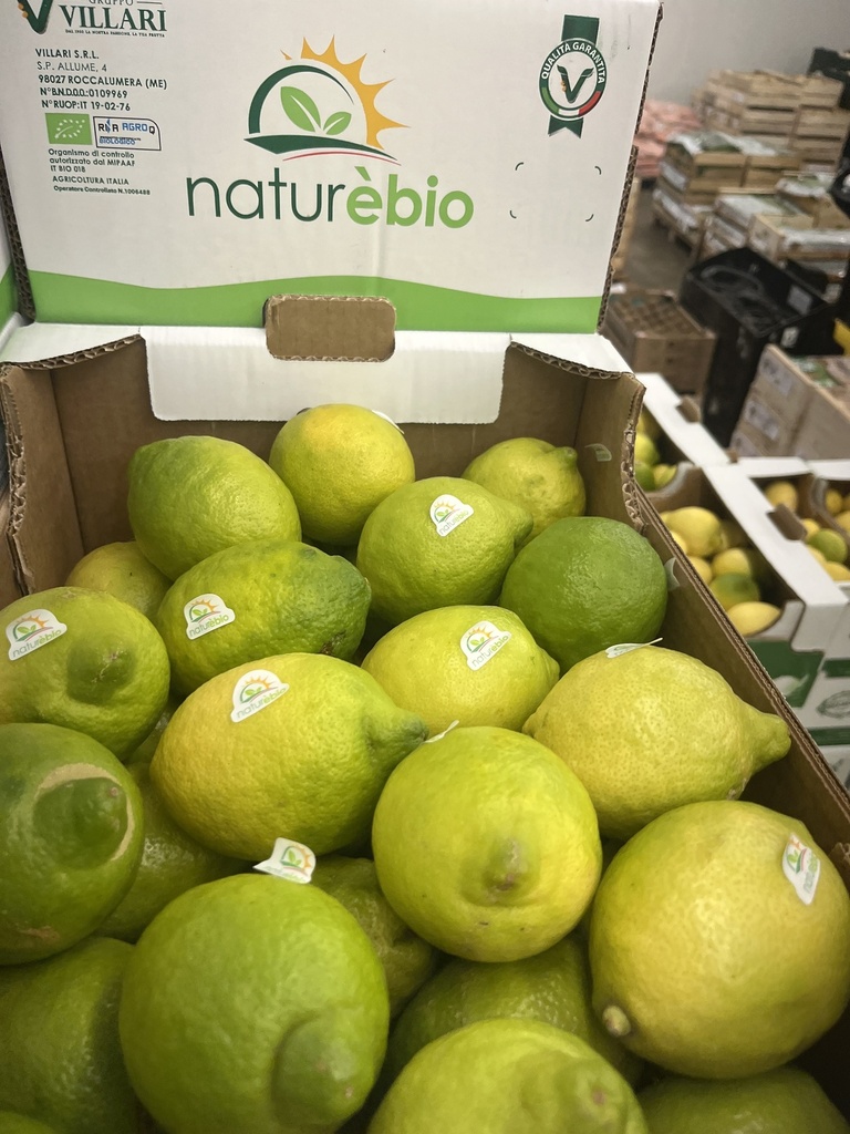 Citroen Verna - SP (per kilo)