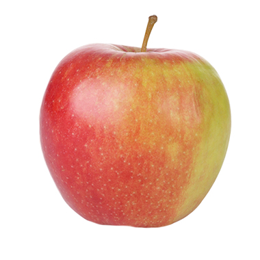 Appel Jonagold BE Bio 1kg (kopie)