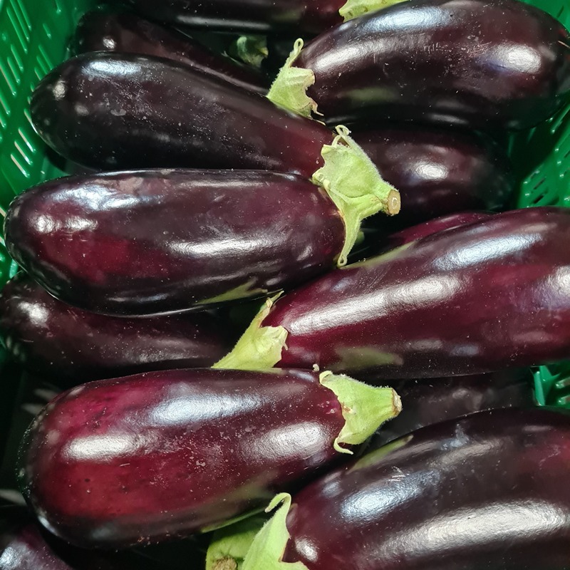 Aubergine - EcoVeg BE (per kilo)