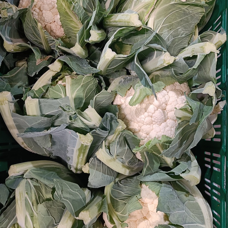 Bloemkool - NL (per stuk)