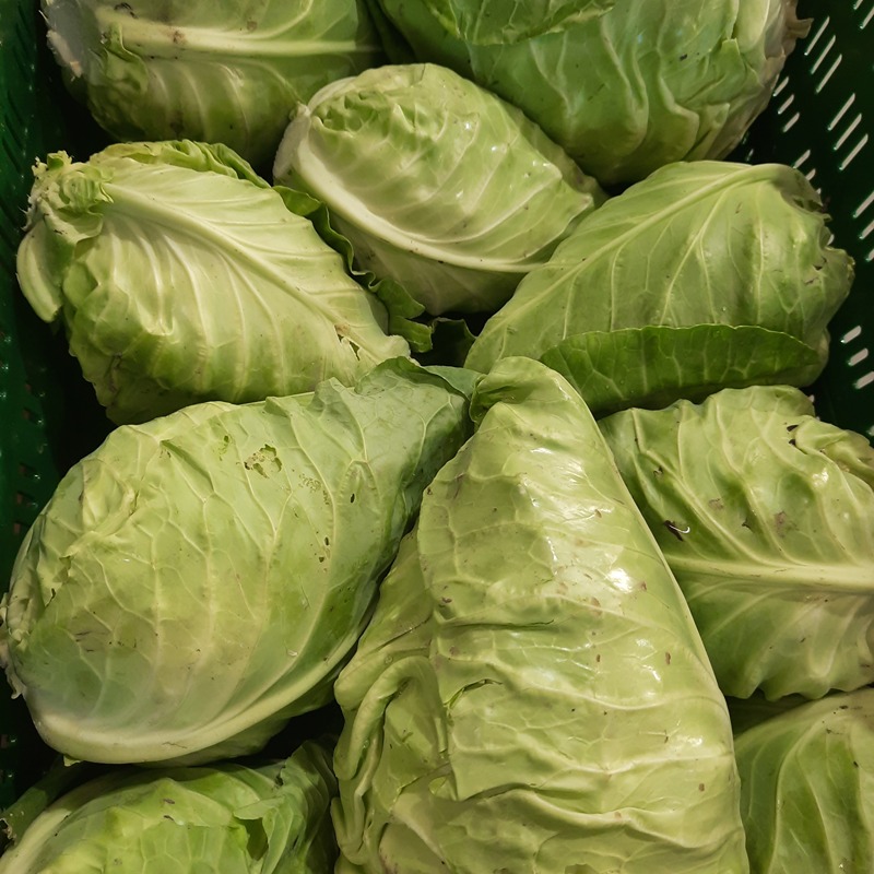 Spitskool groen Koolmees (prijs per stuk)