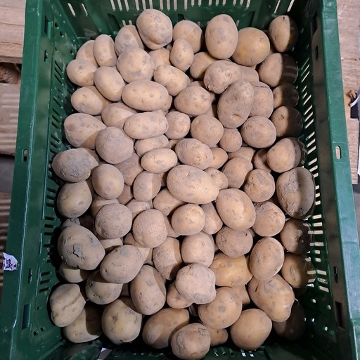 Aardappel krieltjes -t Livinushof (prijs per kg)