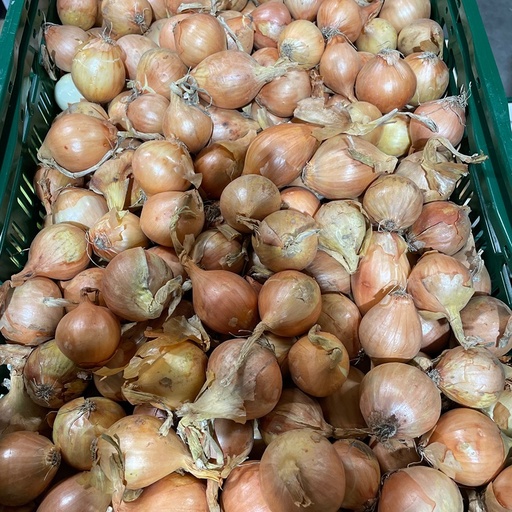 Ajuin geel -Dieleman (per kg)