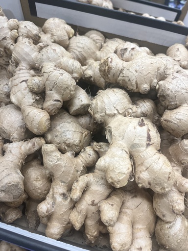 Gember -Elisur Organic -PE (per 100g)