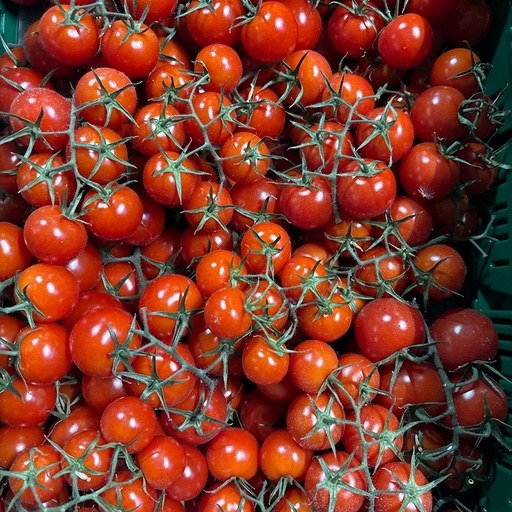 Kerstomaatjes FR (per kilo)