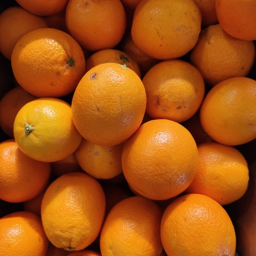 Appelsien Valencia - SA (per kilo)