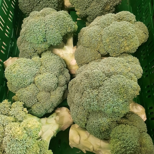 Broccoli - NL (Prijs per kilo)