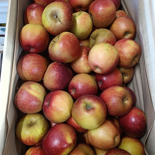 Appel Alkmene prijs/kg (kopie)